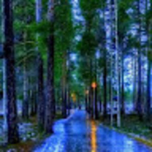 Meet your Posher, Francisco